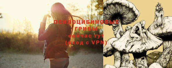 мескалин Покачи