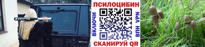 Псилоцибиновые грибы Cubensis  Купить  Калач 